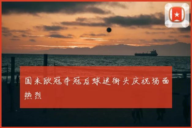 国米欧冠夺冠后球迷街头庆祝场面热烈