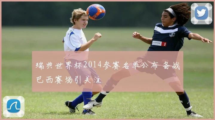 瑞典世界杯2014参赛名单公布 备战巴西赛场引关注