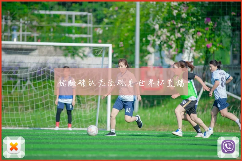 优酷确认无法观看世界杯直播