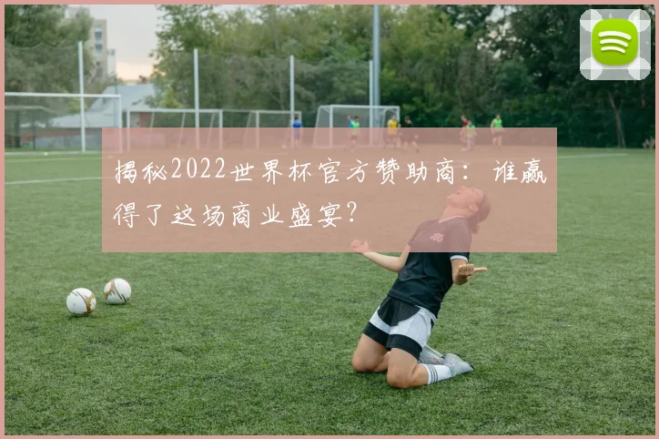 揭秘2022世界杯官方赞助商：谁赢得了这场商业盛宴？