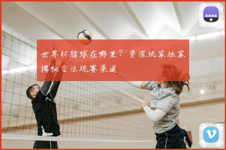 世界杯赌球在哪里？资深玩家独家揭秘合法观赛渠道