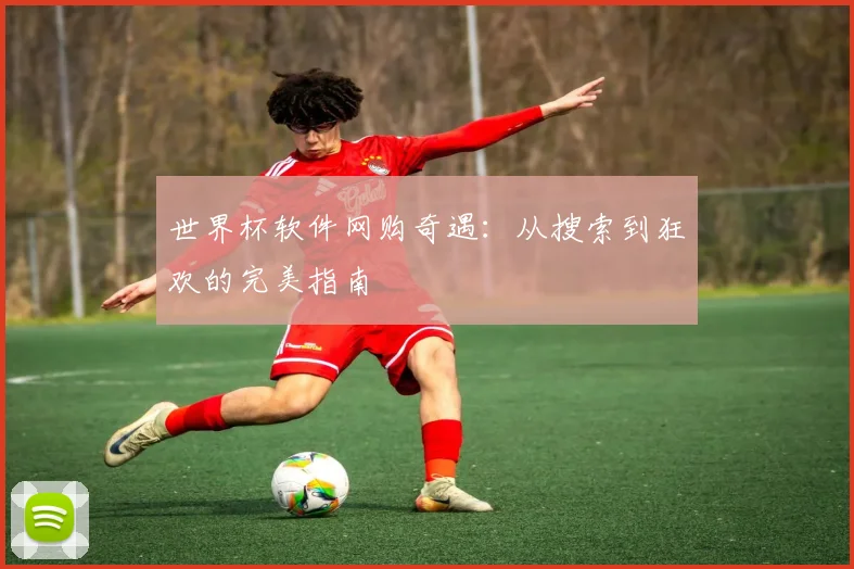 世界杯软件网购奇遇：从搜索到狂欢的完美指南