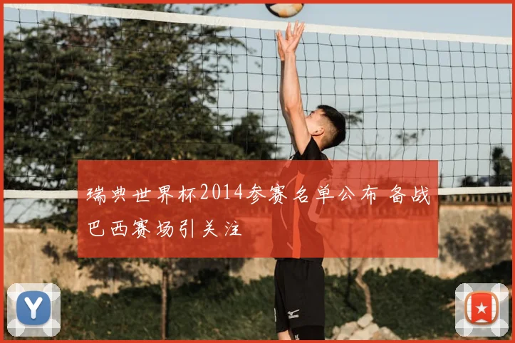 瑞典世界杯2014参赛名单公布 备战巴西赛场引关注
