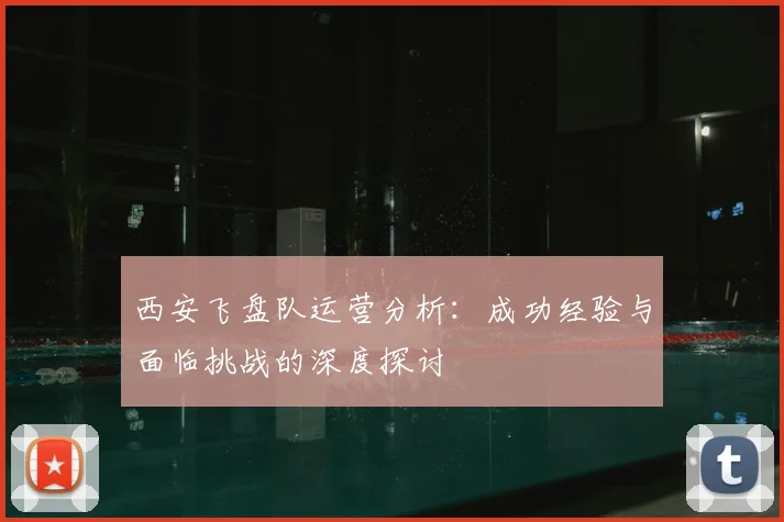 西安飞盘队运营分析：成功经验与面临挑战的深度探讨