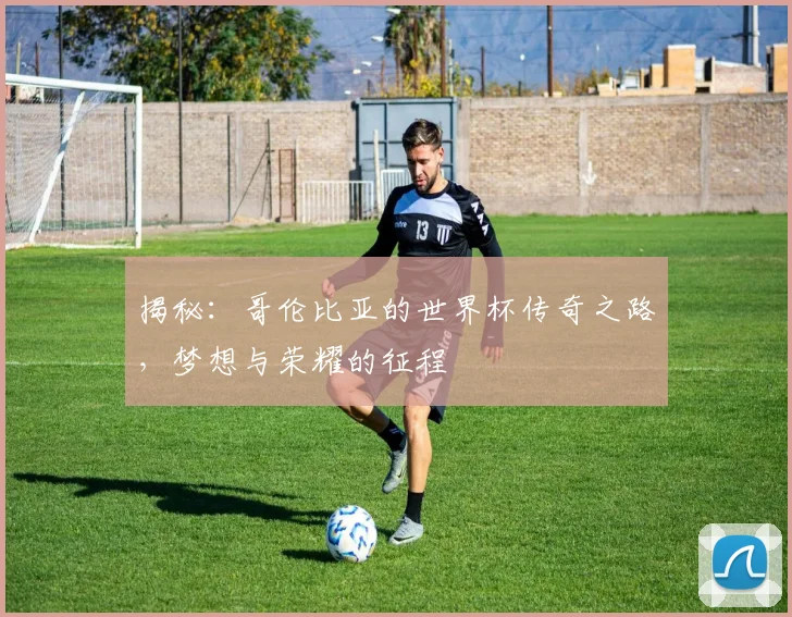 揭秘：哥伦比亚的世界杯传奇之路，梦想与荣耀的征程