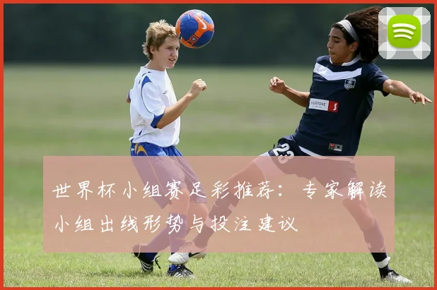 世界杯小组赛足彩推荐：专家解读小组出线形势与投注建议