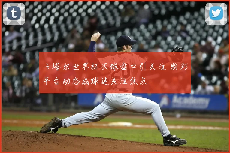 卡塔尔世界杯买球盘口引关注 购彩平台动态成球迷关注焦点