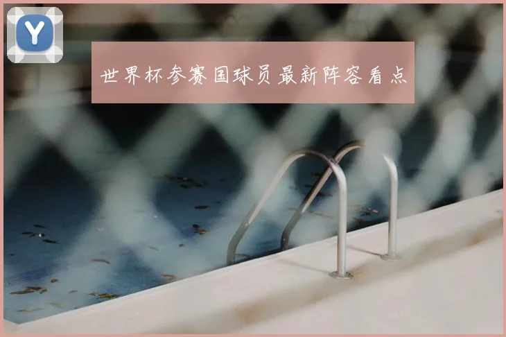 世界杯参赛国球员最新阵容看点